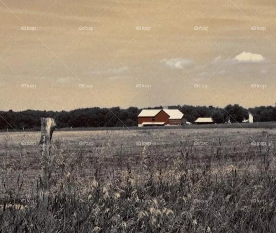Farm