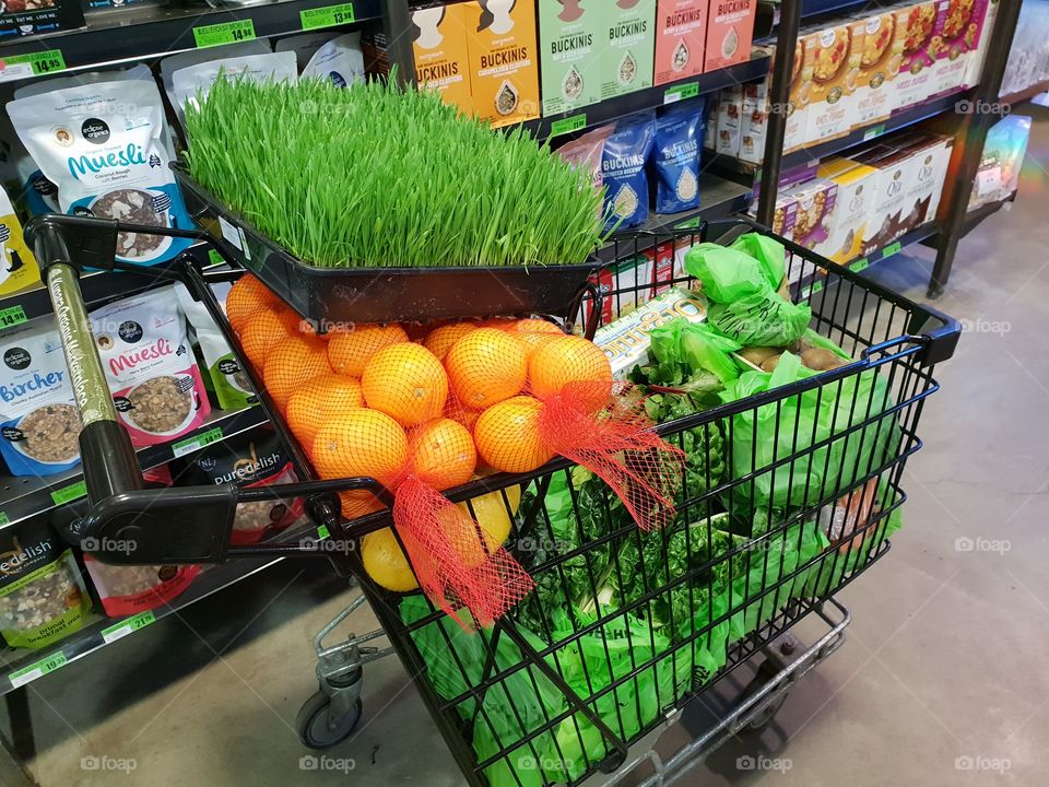 grocery shopping healthy living