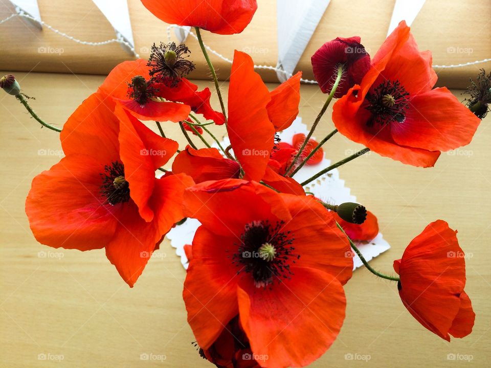 Red color story. Poppies 