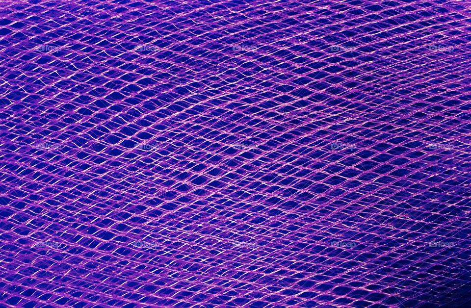 Close-up of purple net