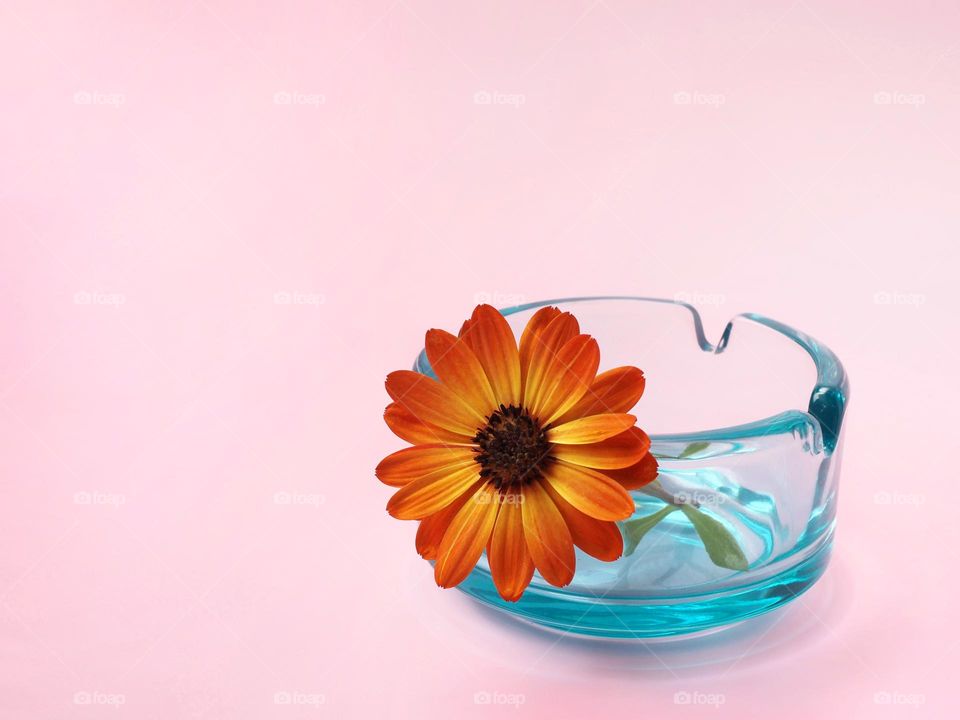 No tobacco concept: ashtray with a flower on a pink background