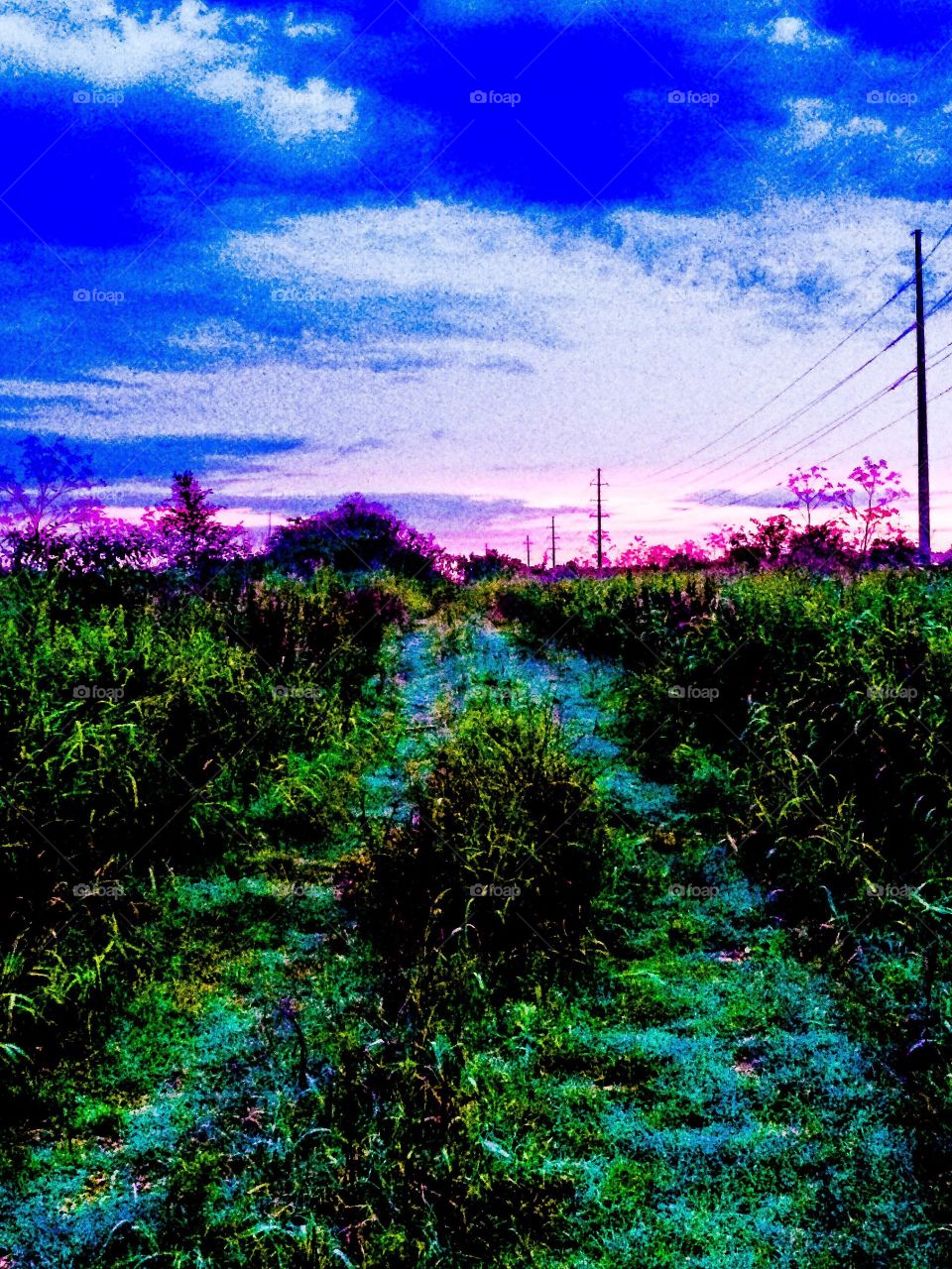 Backroad to nowhere 