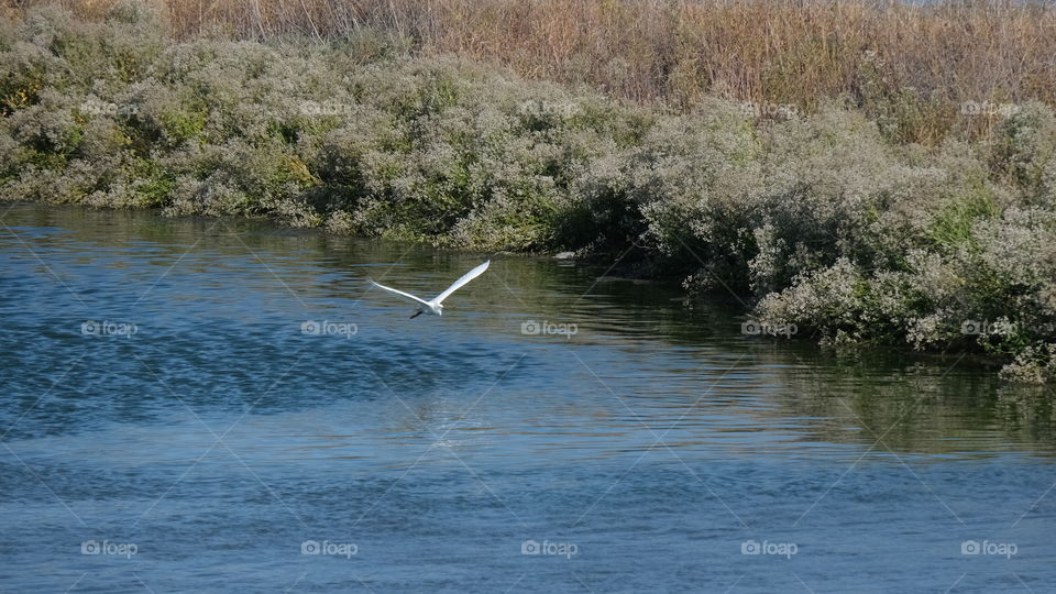 Land meets brackish water