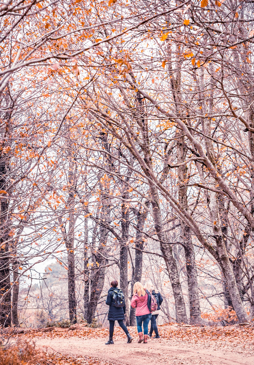 Active women, hiking girls walking in forest living healthy lifestyle doing outdoor activities. Female hikers trekking outside in woods wearing backpacks.