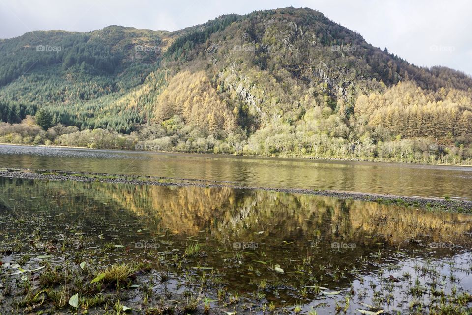 Bonnie Bonnie Scotland … even in the rain 🏴󠁧󠁢󠁳󠁣󠁴󠁿