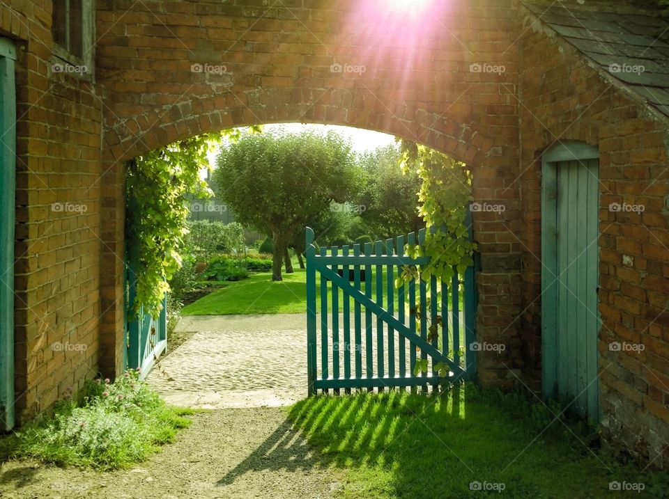 Gate. Garden gate 