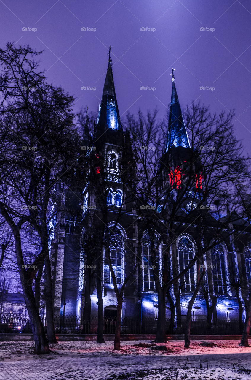 St. Olga and Elizabeth cathedral in Lviv city