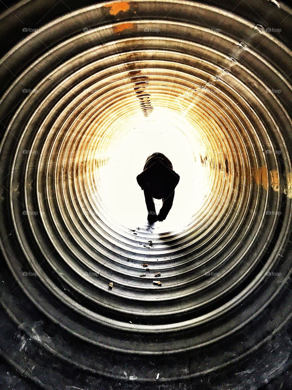 Puppy in light tunnel