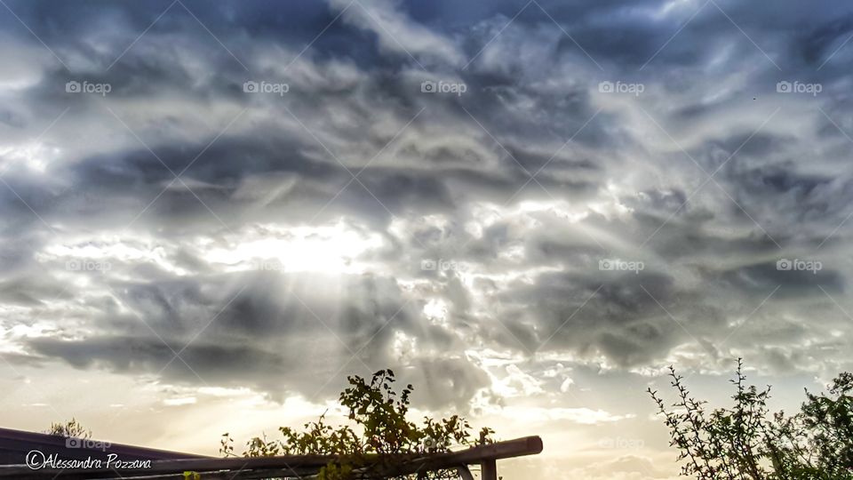 cloud sun morning tree landscape