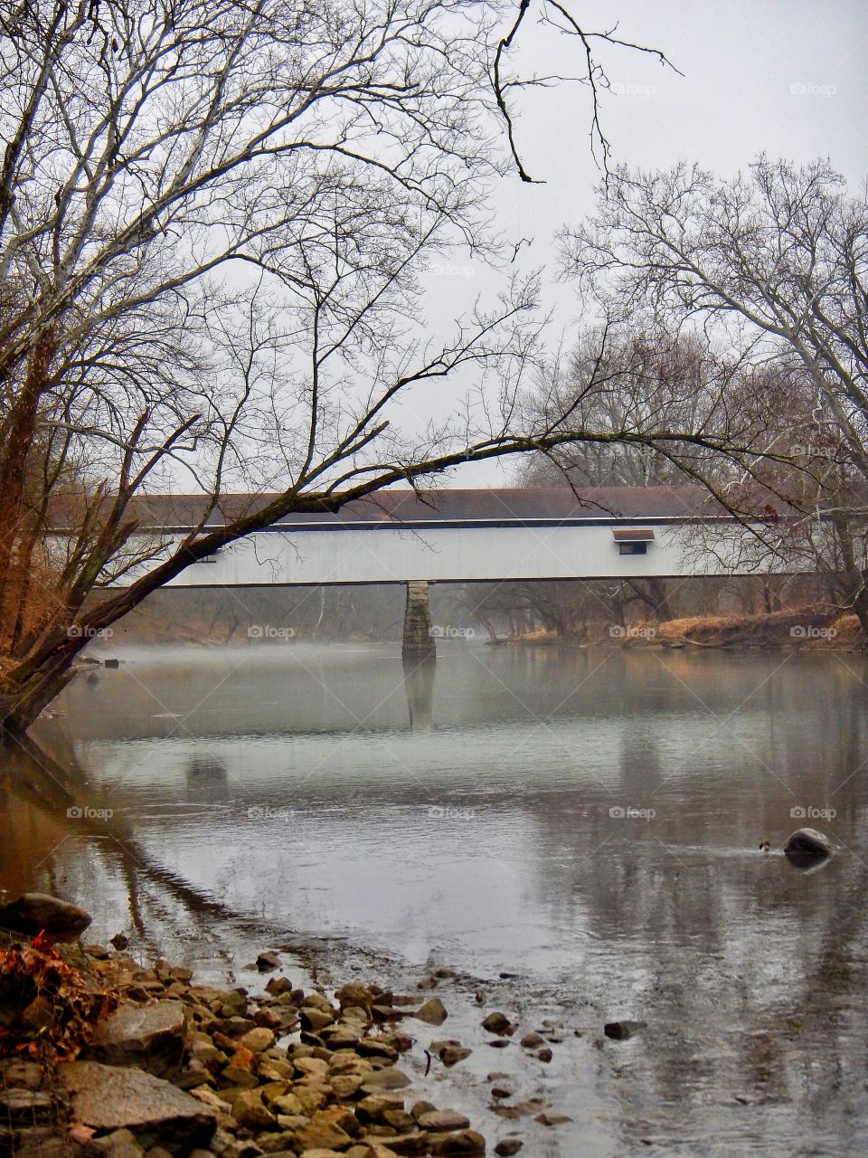 Foggy rainy day on the river. 