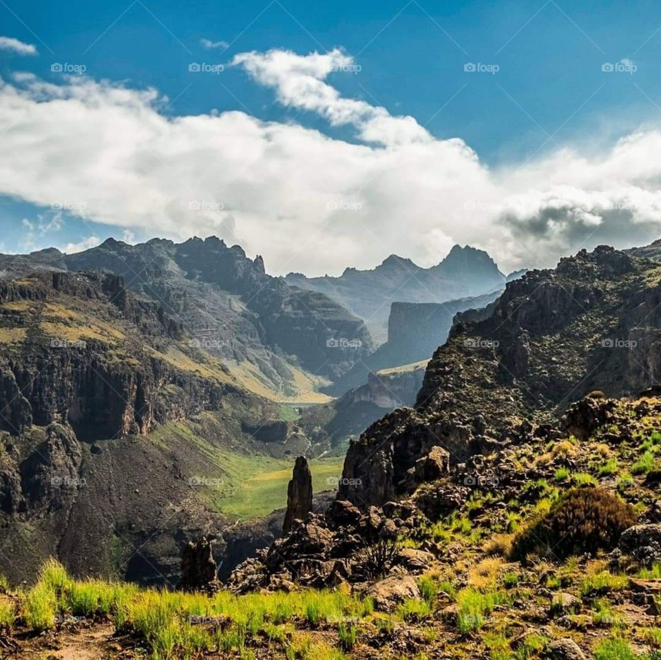 Slopes of Mount Kenya