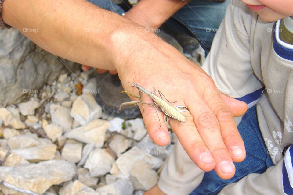 flora and fauna of 2019