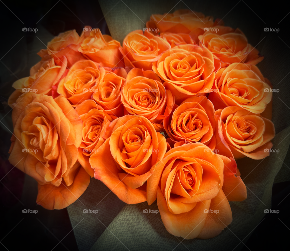 Gorgeous orange roses.