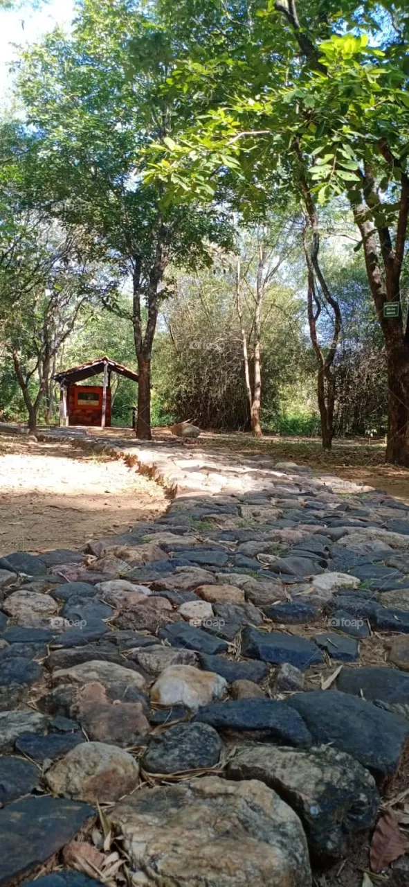 beautiful hut