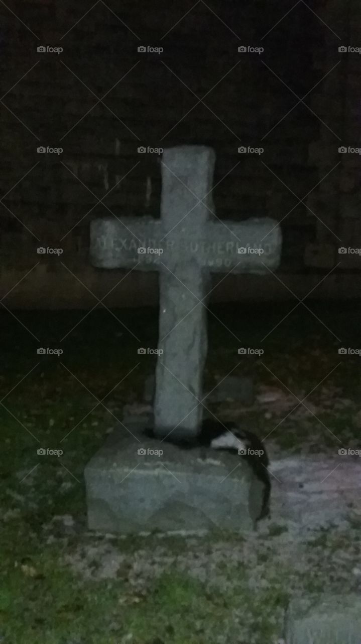 cross graveyard night