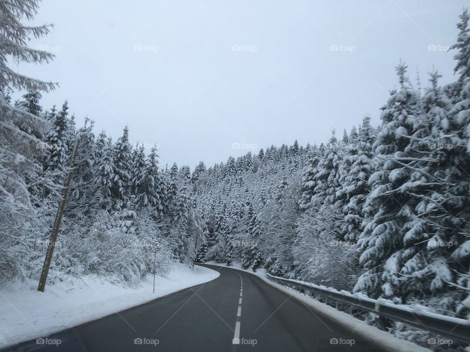 Snowy landscap