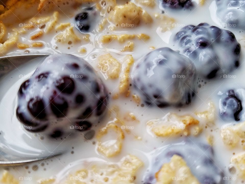 Blackberries and Cereal