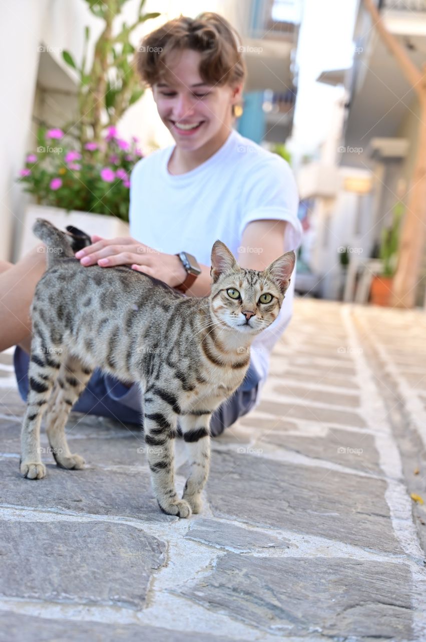 Cute tabby cat outdoors Greek Islands