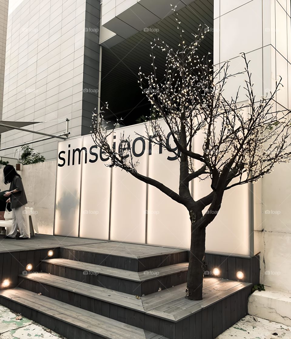 tree middle in the city