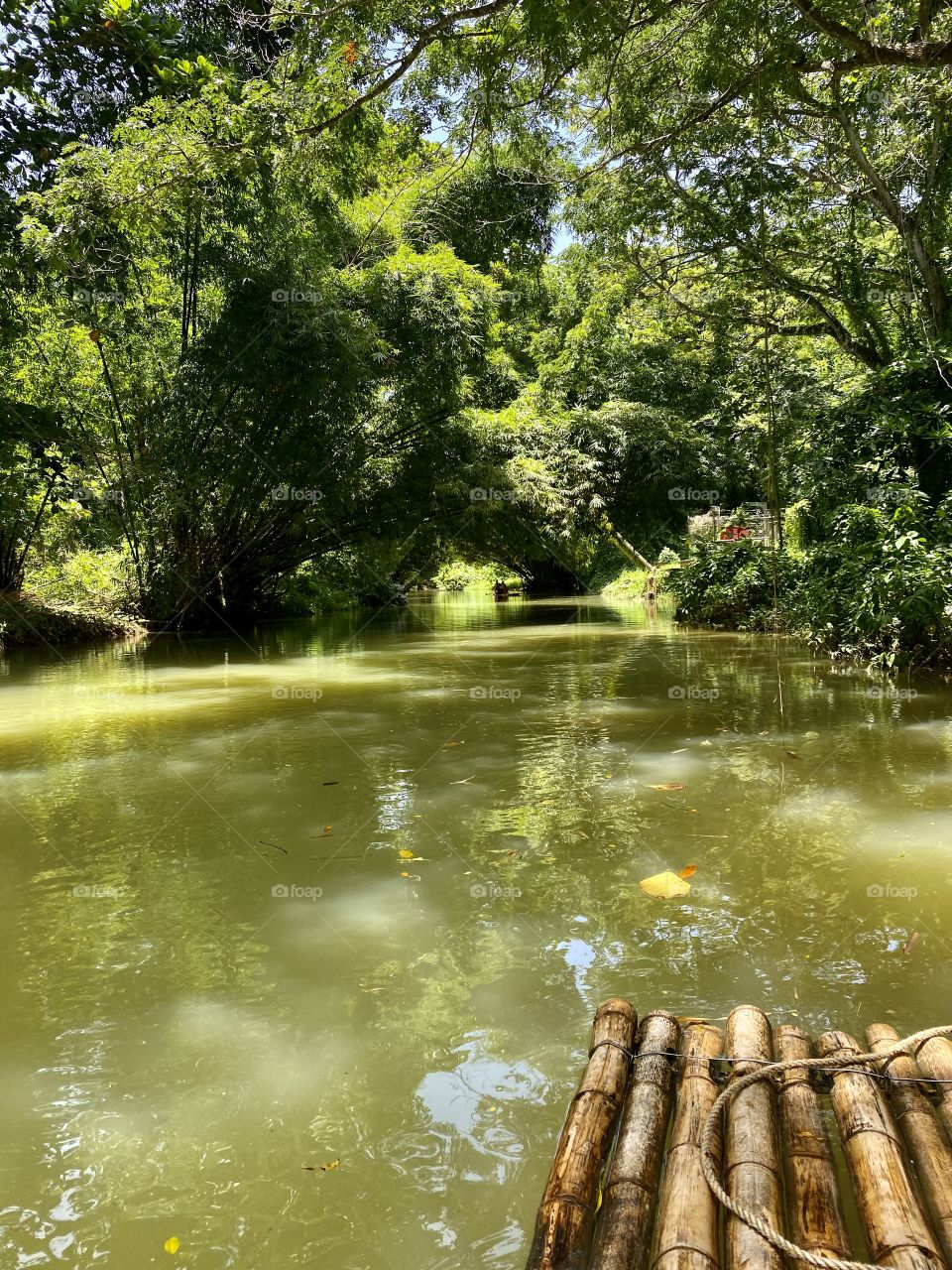 Bamboo river rafting on the Martha Brae River