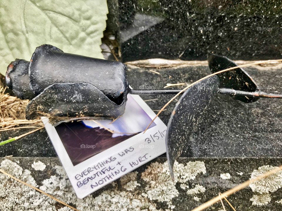 everything was beautiful and nothing hurt 