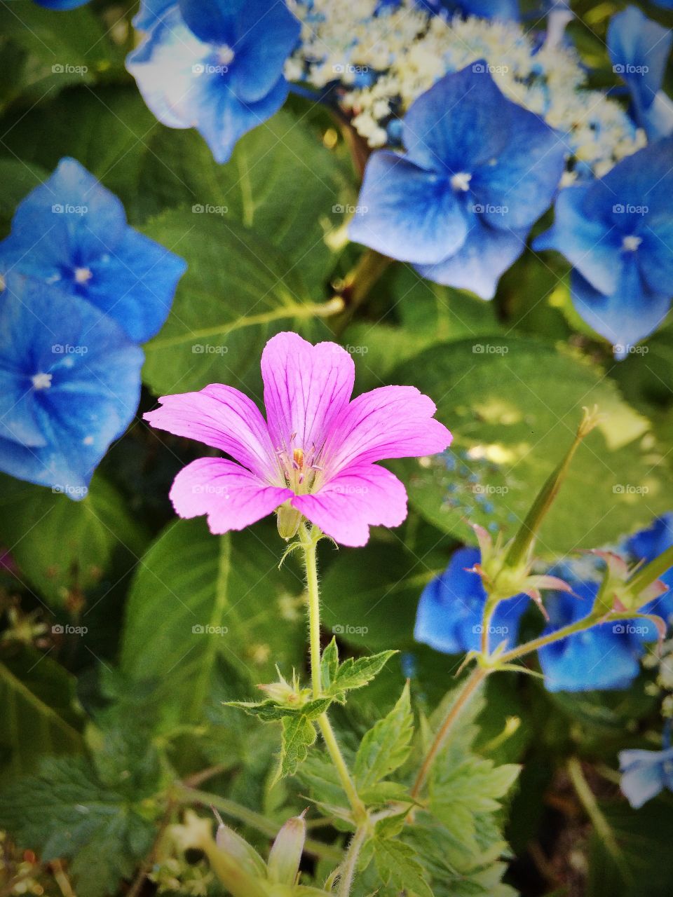 One is not the same as the rest