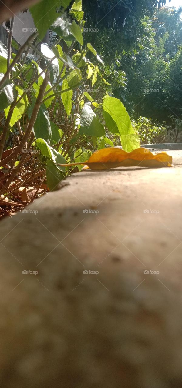 natural captures everything