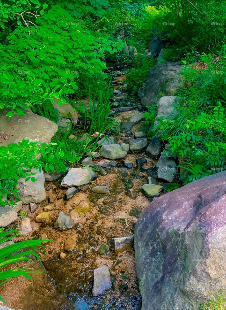small river in koran