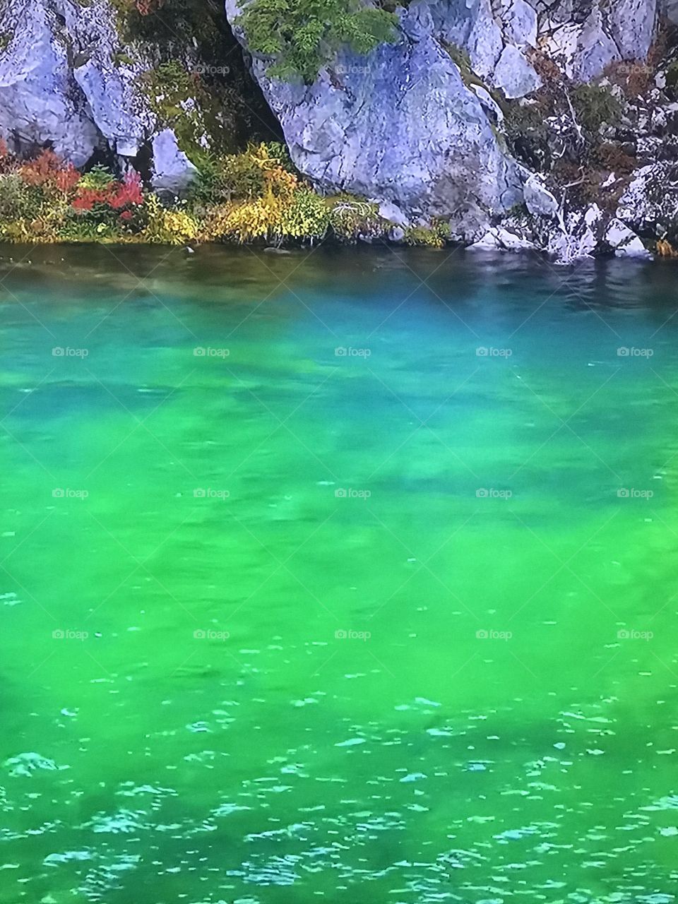 Washington Autumn Park 