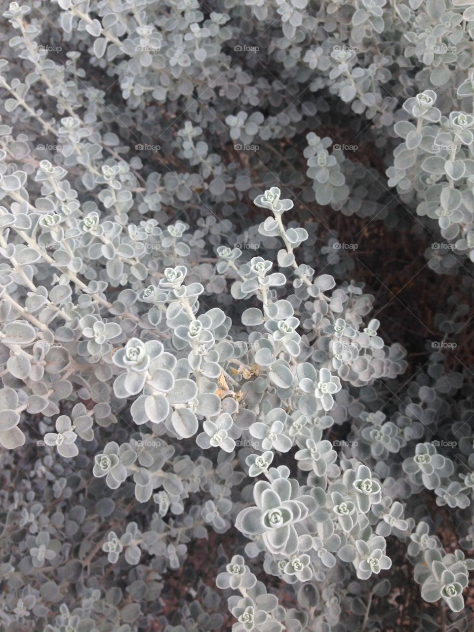 Enjoy the little things