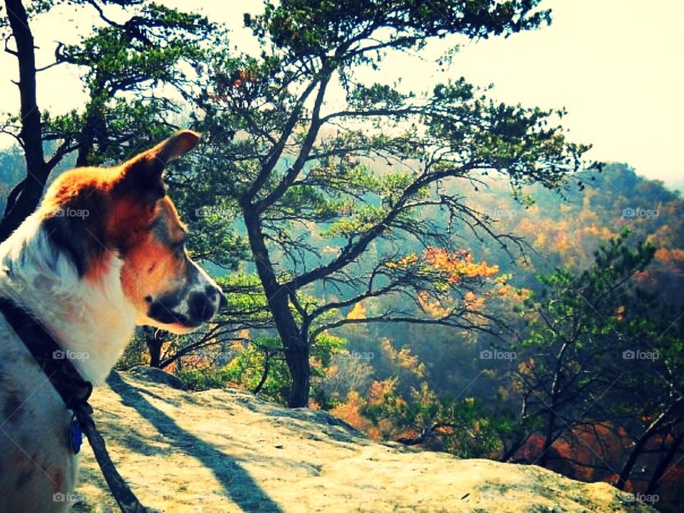 Looking down on the world 