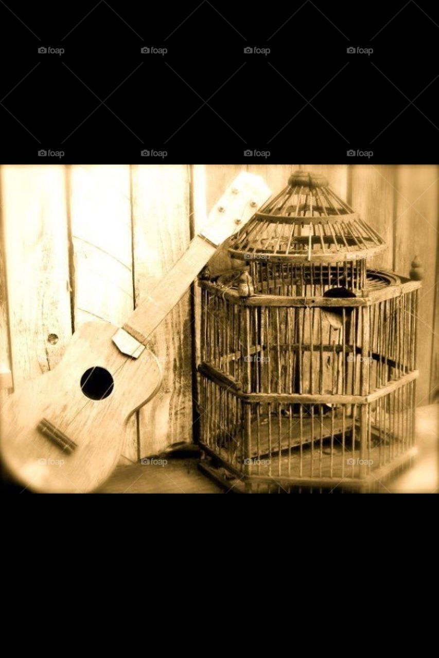 Guitars and a cage