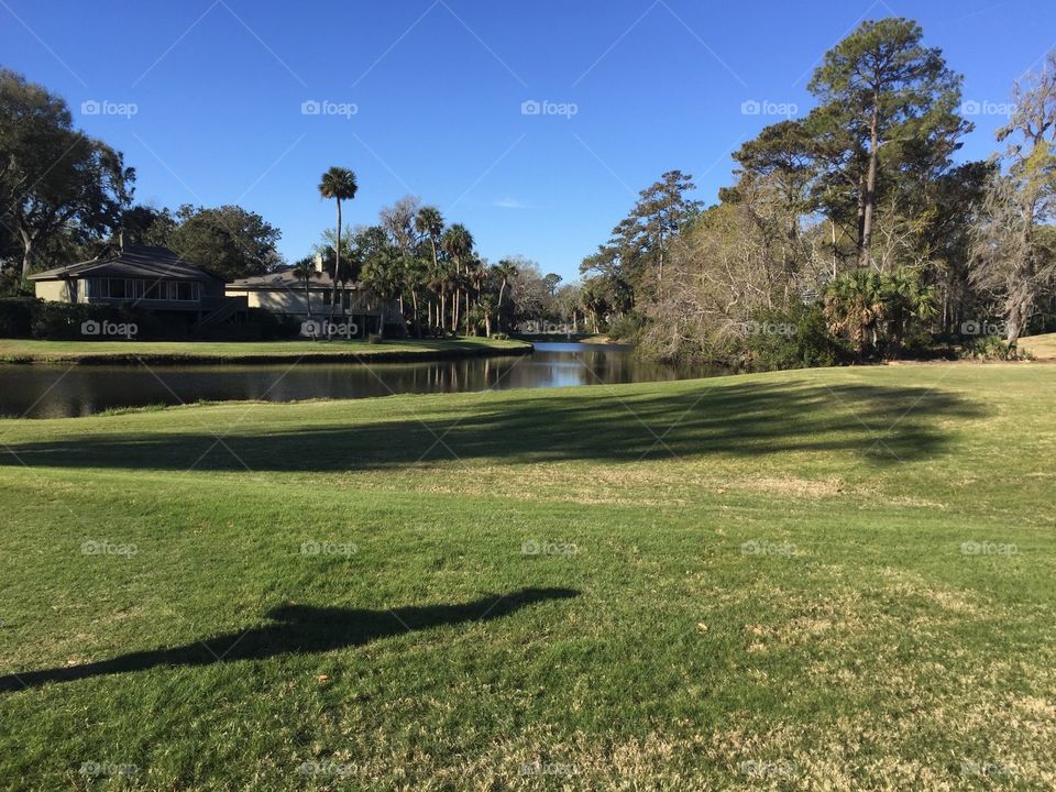 So peaceful on the golf course