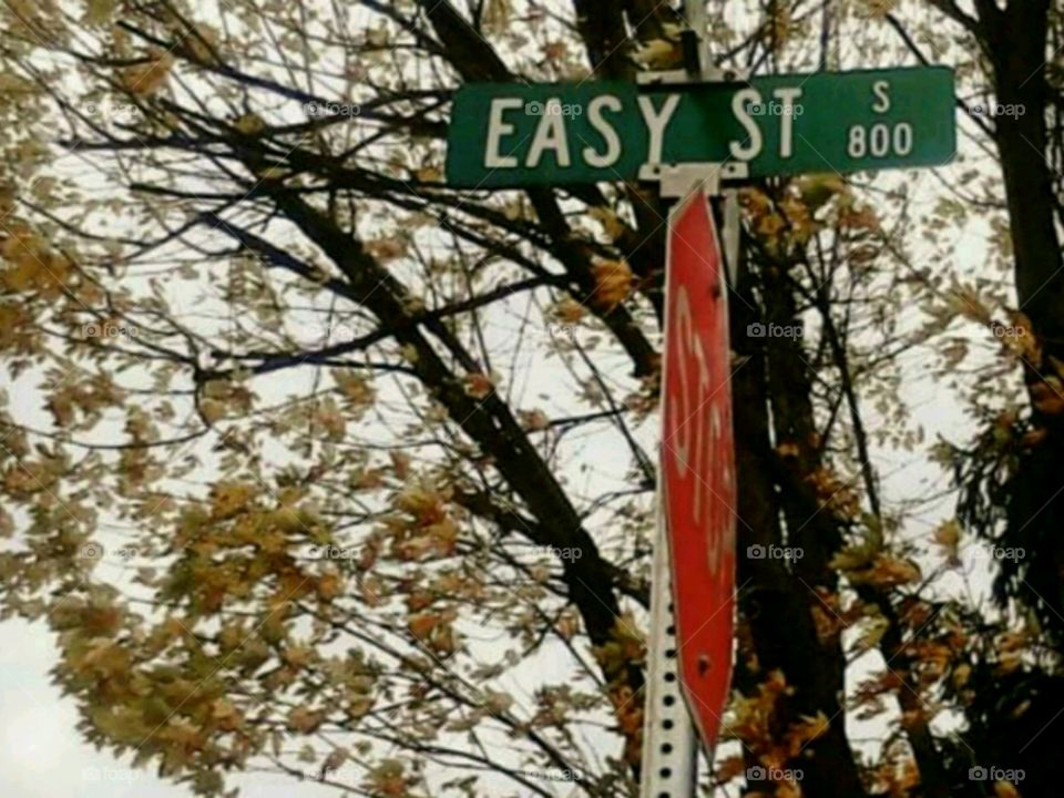 Welcome to Easy St.