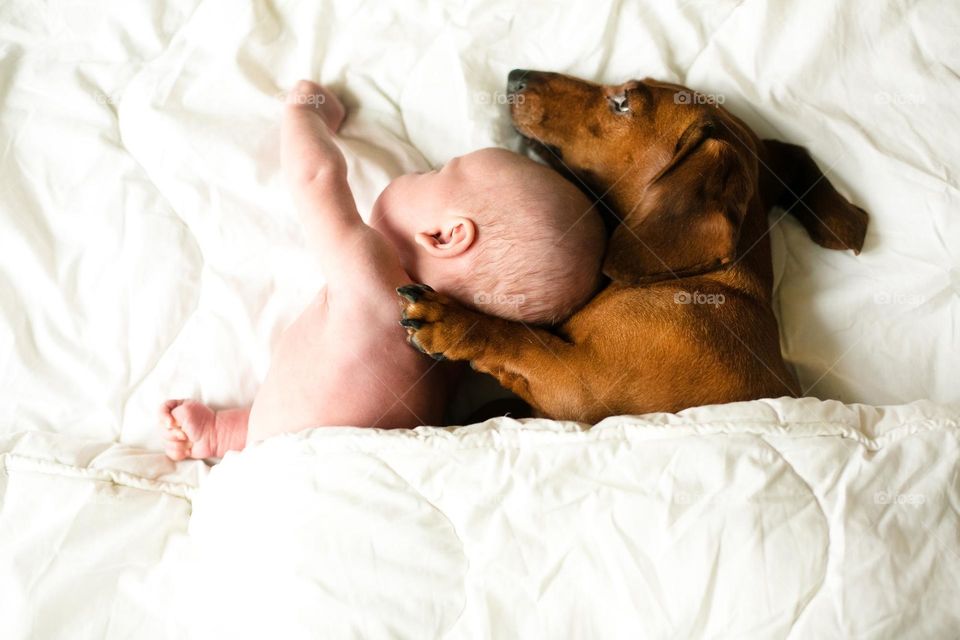 Cute little boy with his dig, spend time together 