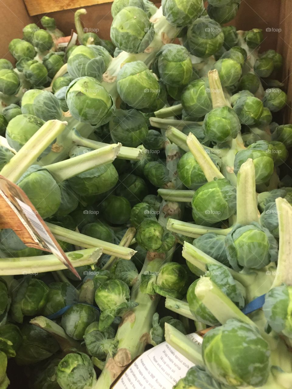 brussel sprouts