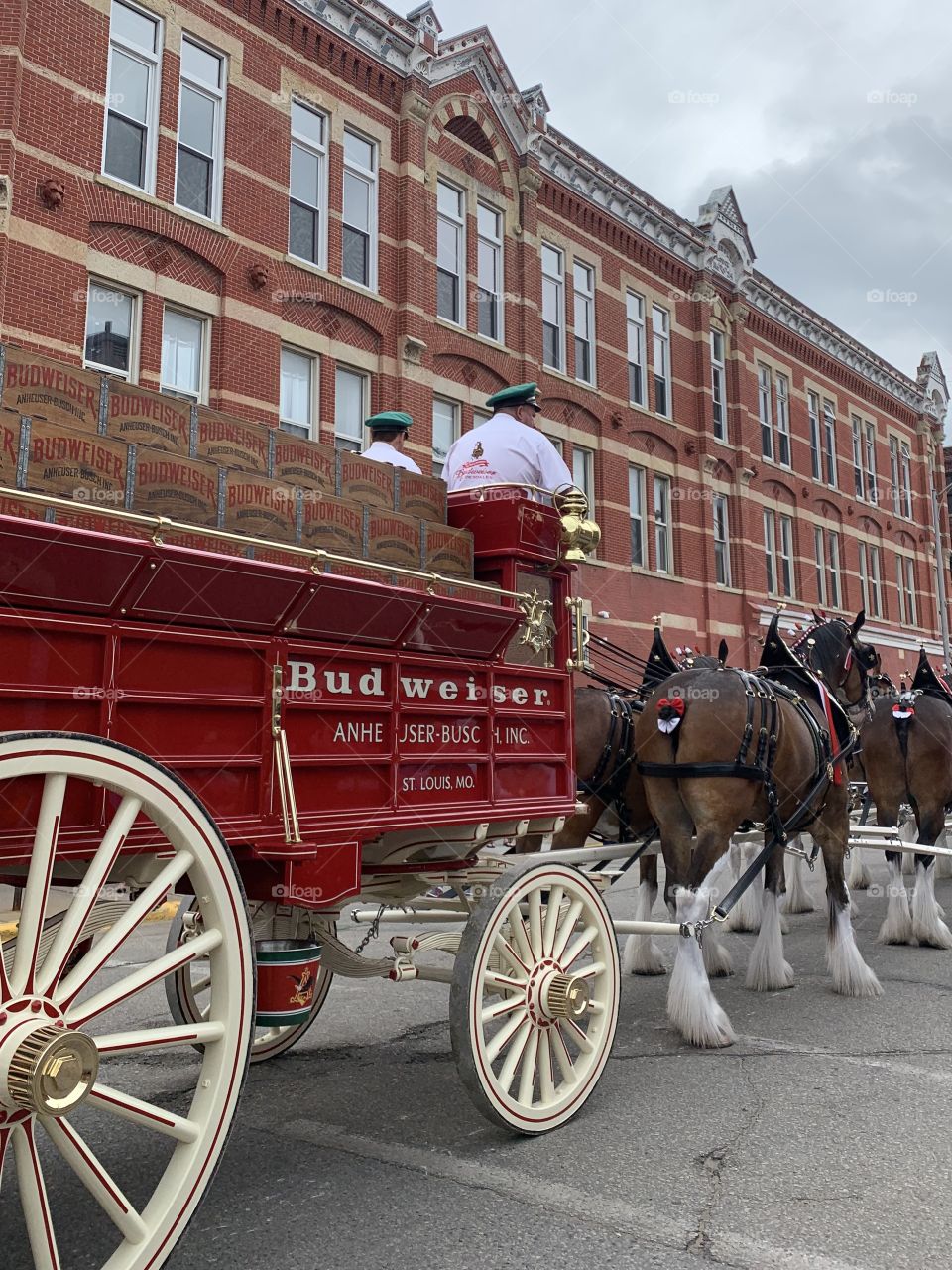 2019 Winona Budweiser Clydesdales Wagon