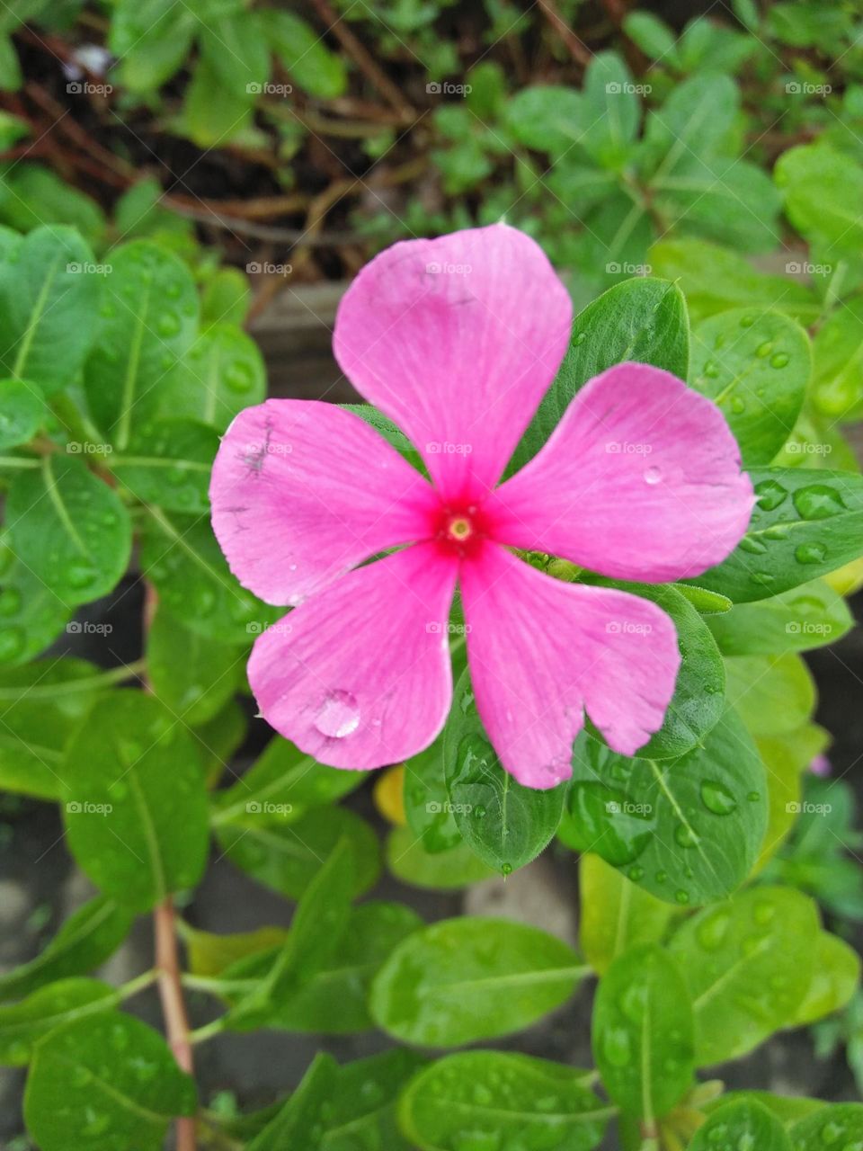 Best of 2021 :  Nature