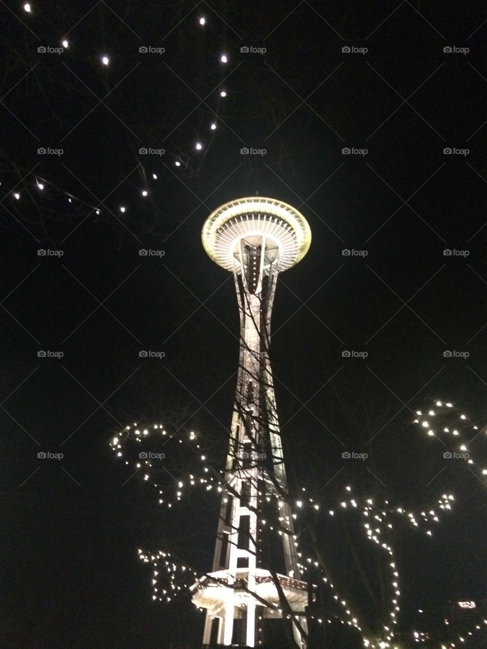 A space needle seen with Christmas lights in the foreground.
