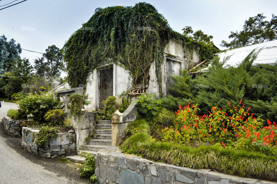 Batumi botanic garden