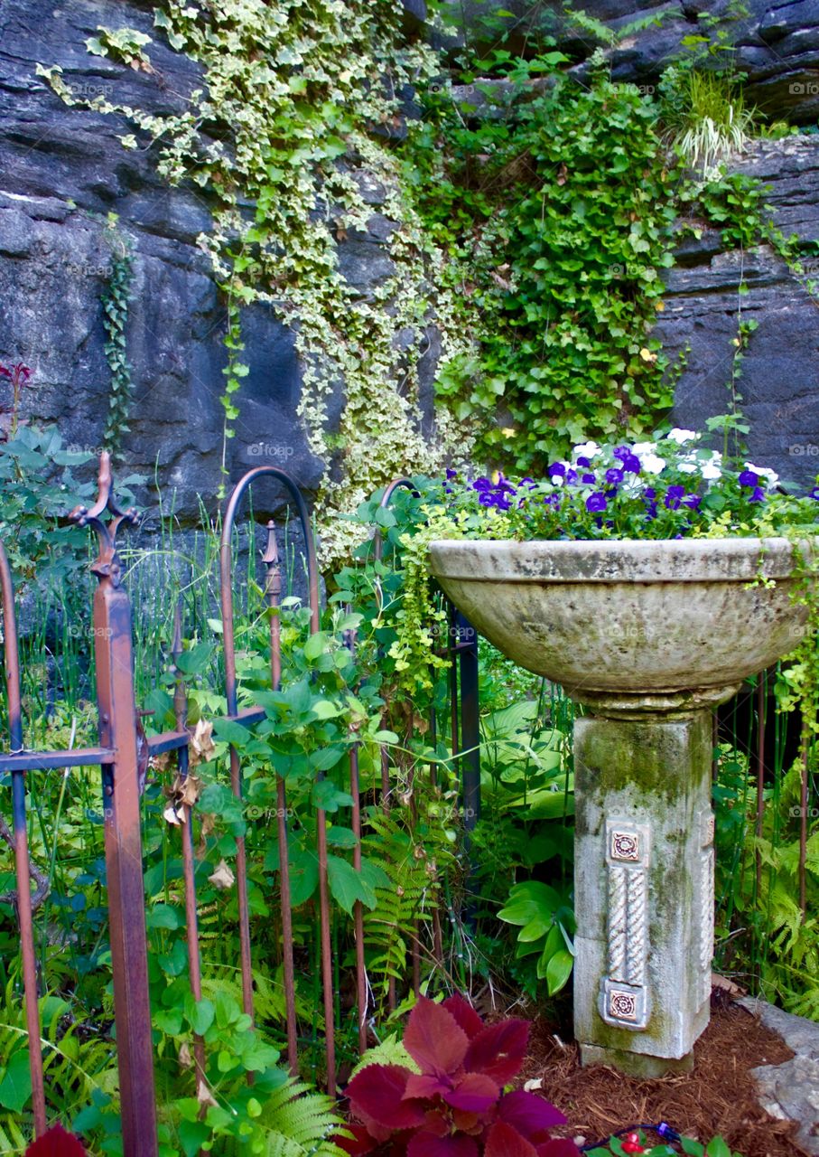 Birdbath beauty