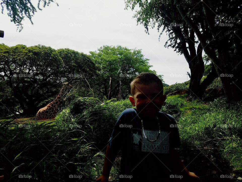 Boy poses in front of giraffe exhibit at honolulu zoo