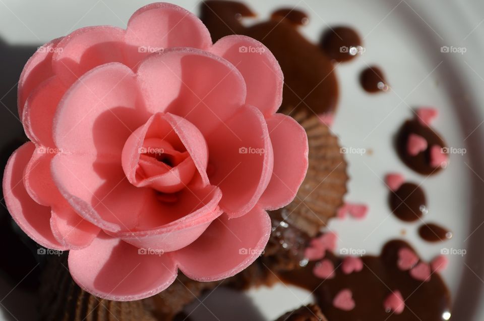 Chocolate brown birthday cake decorated with edible flower served on white plate