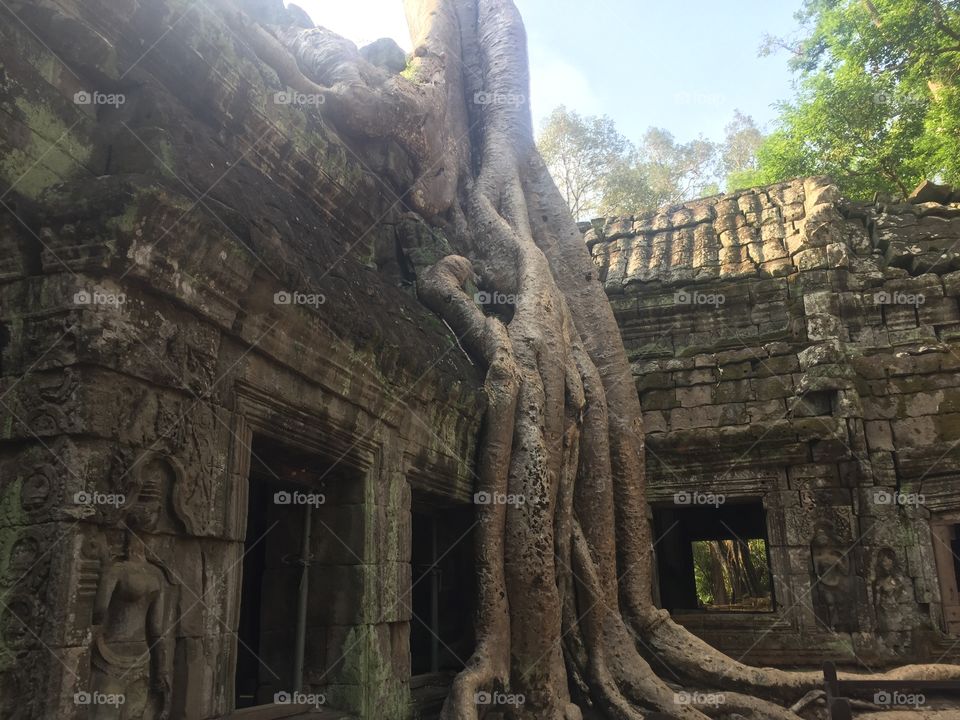 Cambodian Ruins in The Jungle