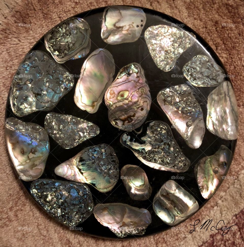Abalone shells 