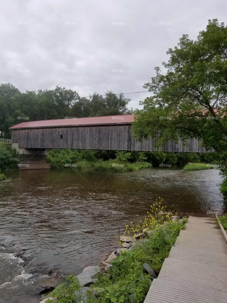 Water, No Person, Wood, Nature, River