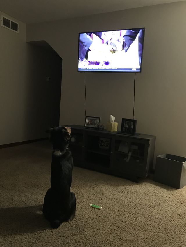 Watching tv