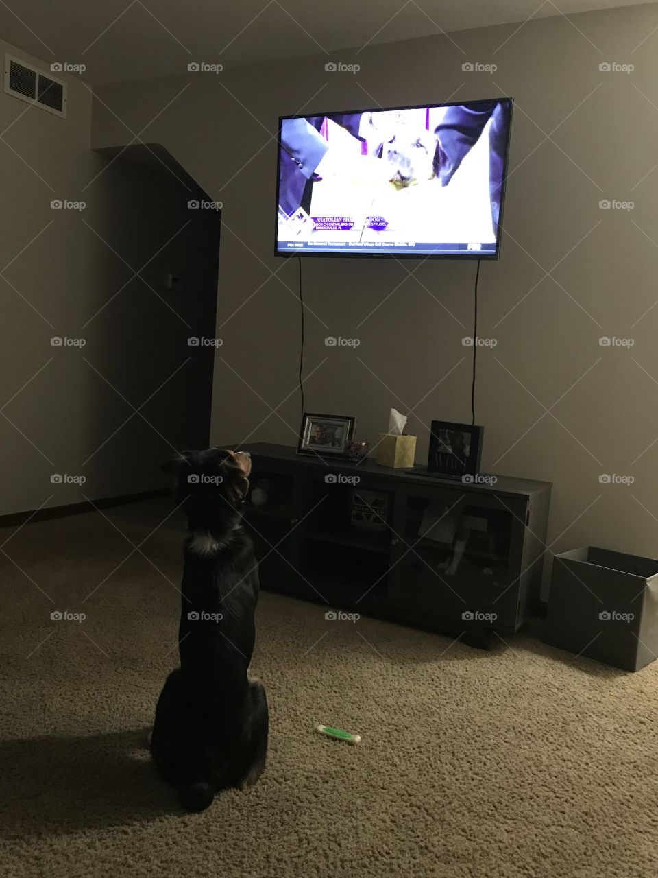 Watching tv