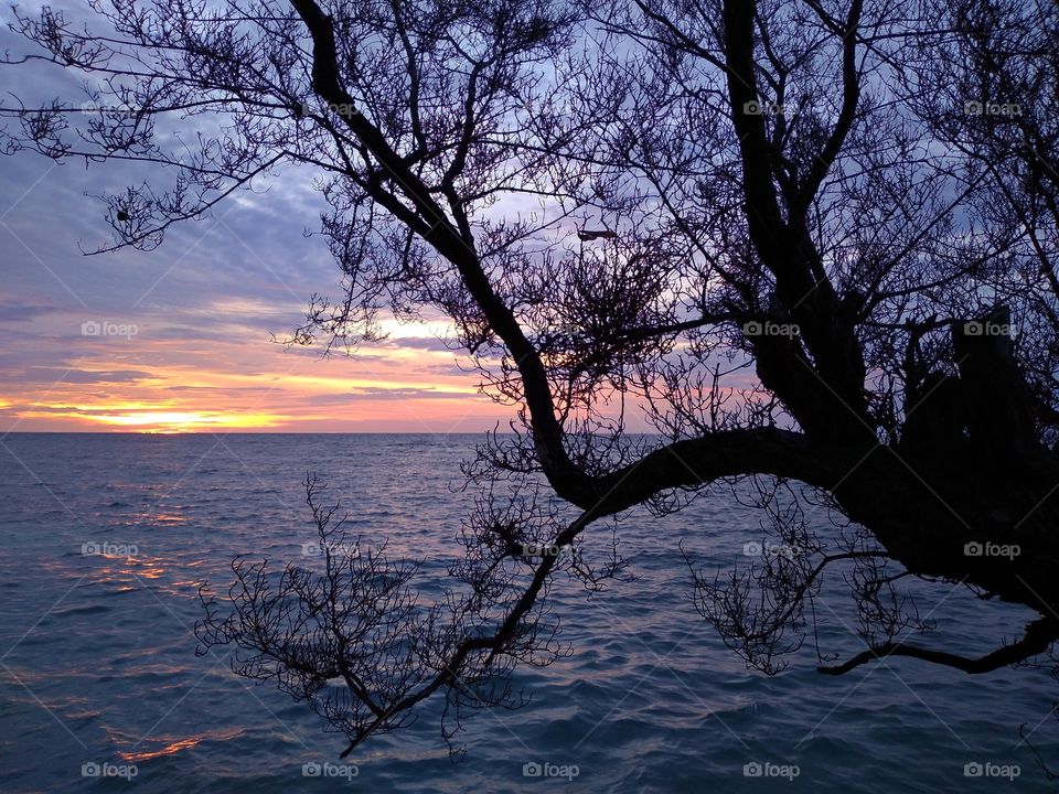 sunset behind the Santigi tree