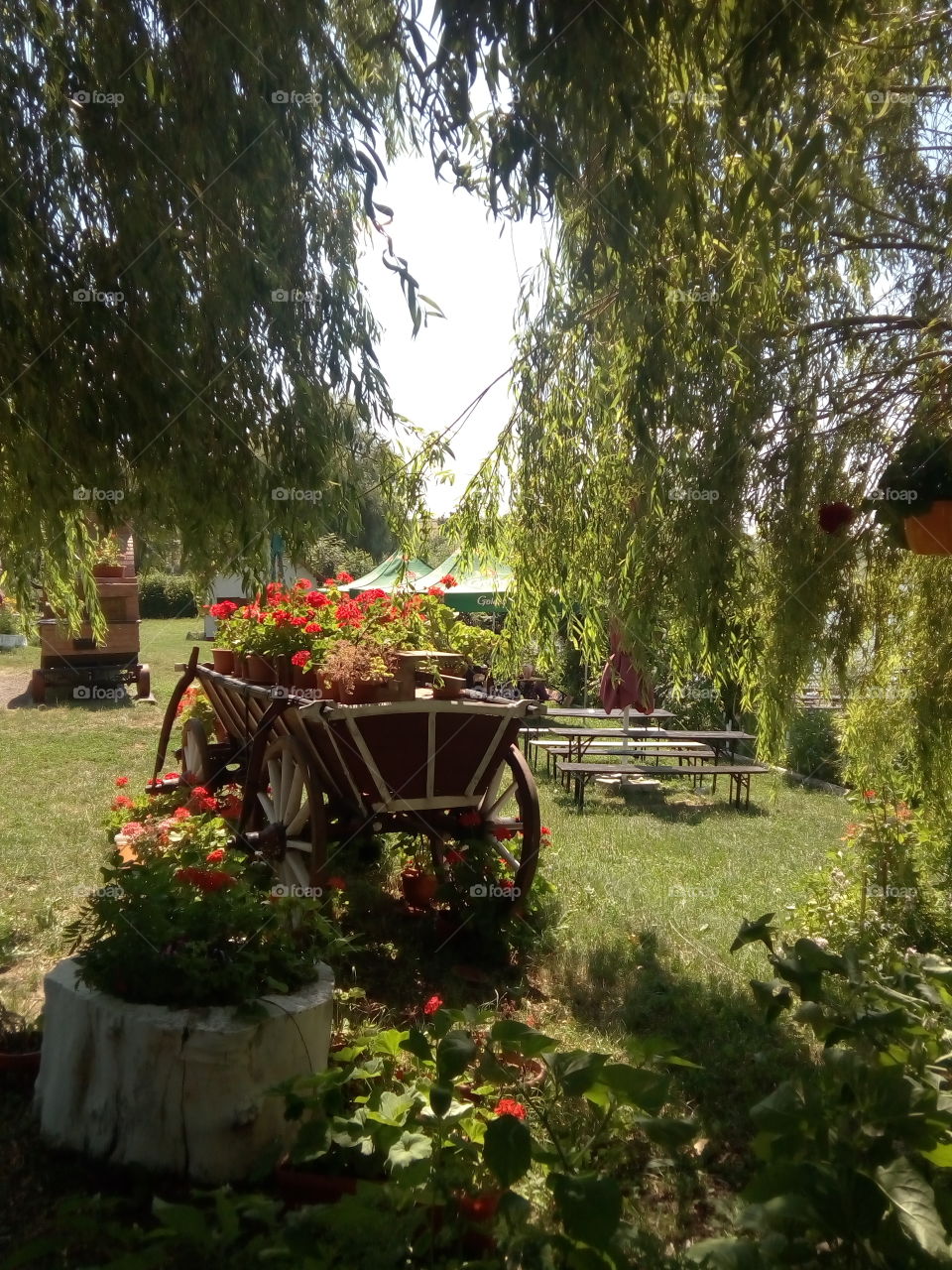 Carriage with flowers
